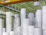 asia pulp paper